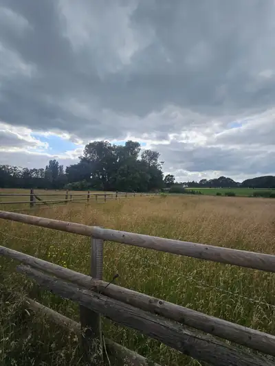 Weite Wiese hinter einem alten Holzzaun unter einem Wolkenhimmel